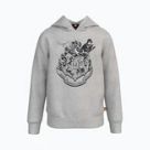 Vaikiški džemperiai