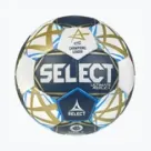 Komandinės sporto šakos