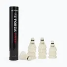 Badmintono plunksniukai