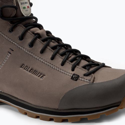 Vyriški trekingo batai Dolomite 54 High Fg Gtx brown 247958 1399