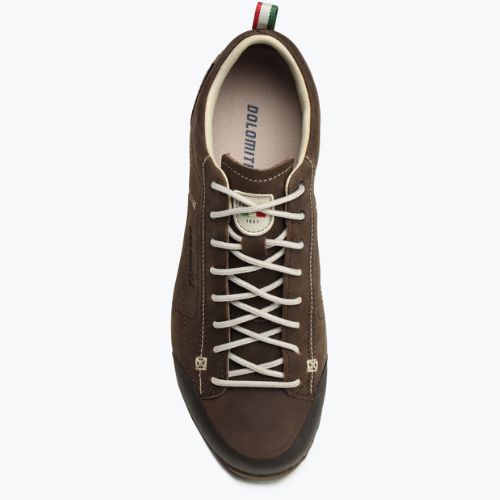 Vyriški trekingo batai Dolomite 54 Low Fg Gtx brown 247959 0300