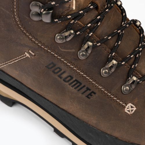 Vyriški trekingo batai Dolomite 54 Trek Gtx M's brown 271850_0300