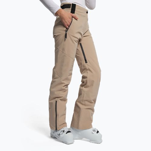 Moteriškos slidinėjimo kelnės Dainese Hp Verglas earth