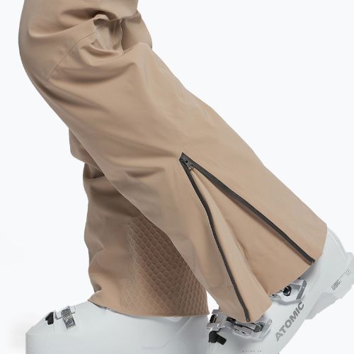 Moteriškos slidinėjimo kelnės Dainese Hp Verglas earth