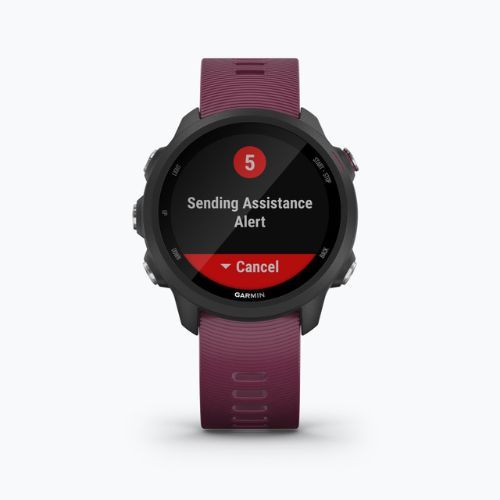 Garmin Forerunner 245 laikrodis violetinės spalvos 010-02120-11