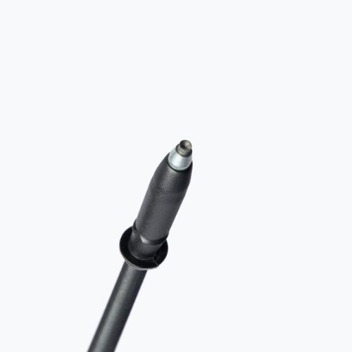 Fizan Speed šiaurietiško ėjimo lazdos rožinės spalvos S20 7523