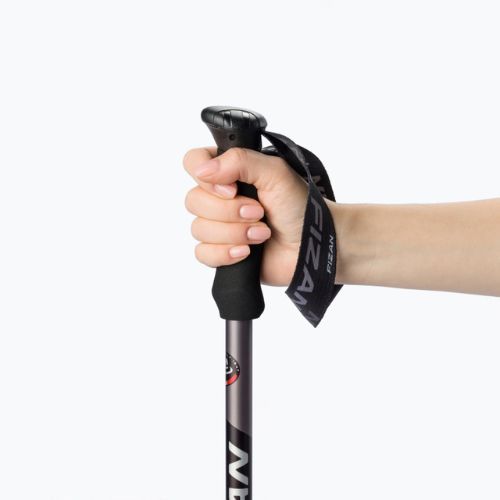 Fizan Prestige Antishock trekingo lazdos mėlynos spalvos S21 7502