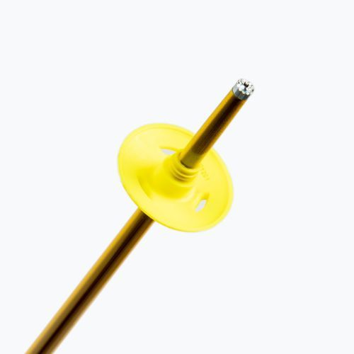 Salomon Arctic slidinėjimo lazdos geltonos L40559200