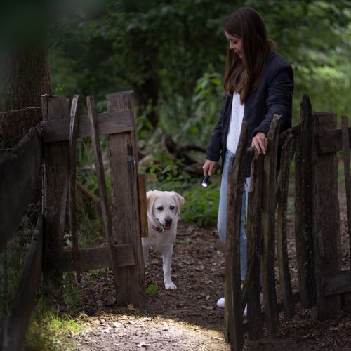 Ledlenser P5R Core žibintuvėlis juodas 502178