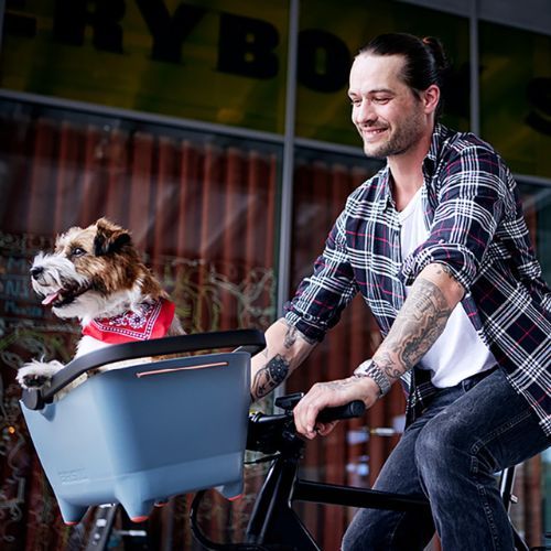 Basil Buddy juodas priekinis dviračių krepšys augintiniams