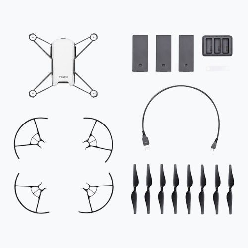 DJI Ryze Tello Boost Combo pilkas TEL0200C dronas