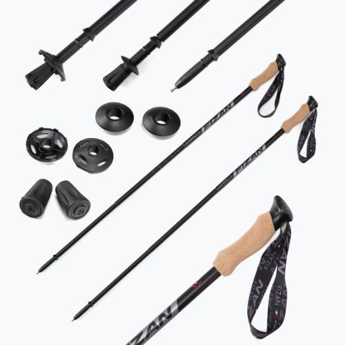 Fizan Compact 4 trekingo lazdos pilkos spalvos S20 7105