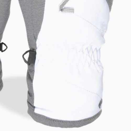 Moteriškos slidinėjimo pirštinės Level Astra Gore Tex pilka 3339