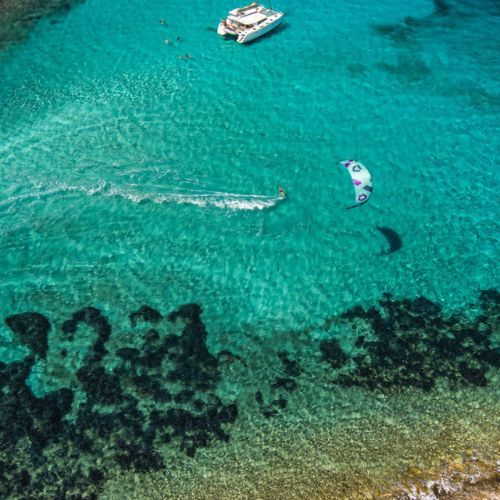 DUOTONE Evo SLS 2022 green 44220-3013 jėgos aitvaras