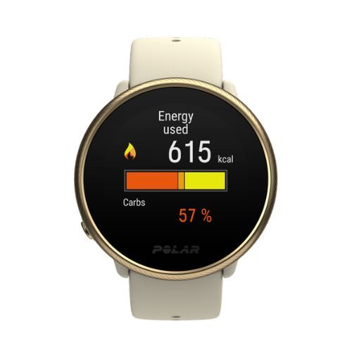 Laikrodis Polar Ignite 2 Champagne/Gold