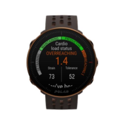 Laikrodis Polar Vantage M2 Brown