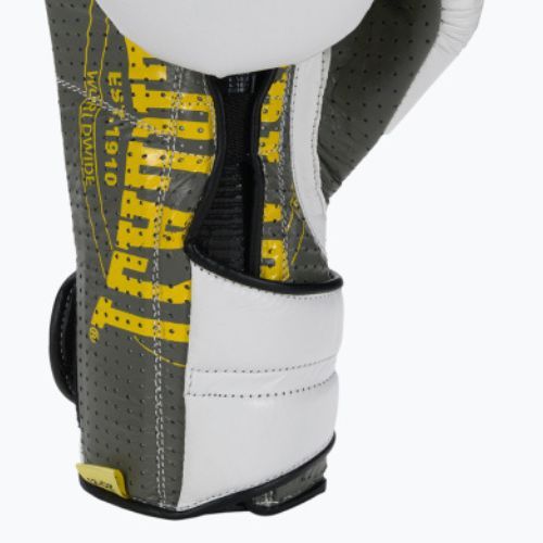 Everlast bokso pirštinės 1910 Classic Pro white EV1910