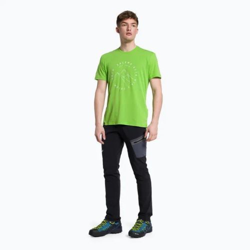 Vyriški Salewa Alta Via Dry trekingo marškinėliai žali 00-0000027406