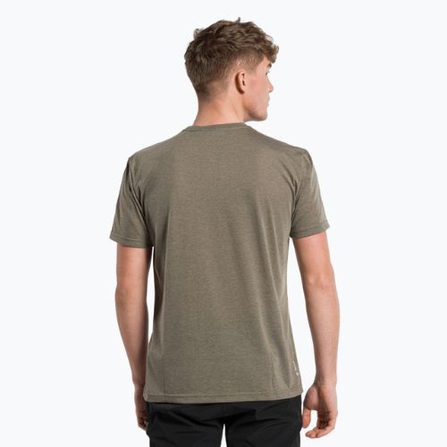 Vyriški Salewa Alta Via Dry trekingo marškinėliai rudi 00-0000027406