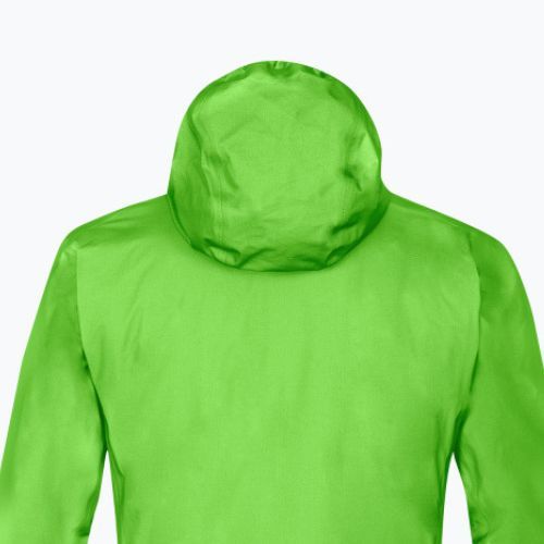 Salewa vyriška striukė nuo lietaus Lagorai GTX Active žalia 00-0000027900