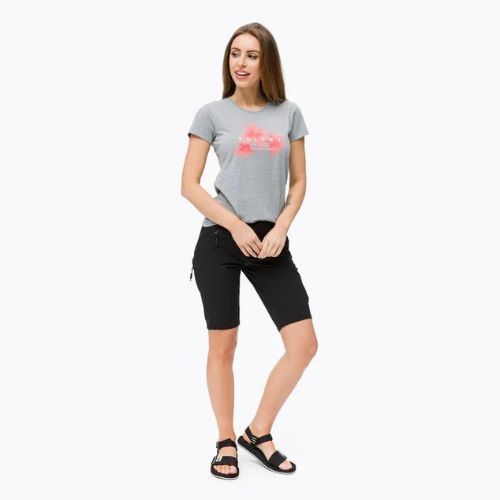 Moteriški trekingo marškinėliai Salewa Lines Graphic Dry Grey 00-0000028064