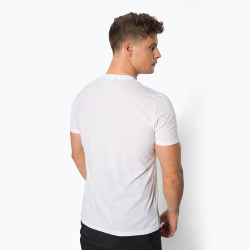 Vyriški Salewa Lines Graphic Dry trekingo marškinėliai balti 00-0000028065