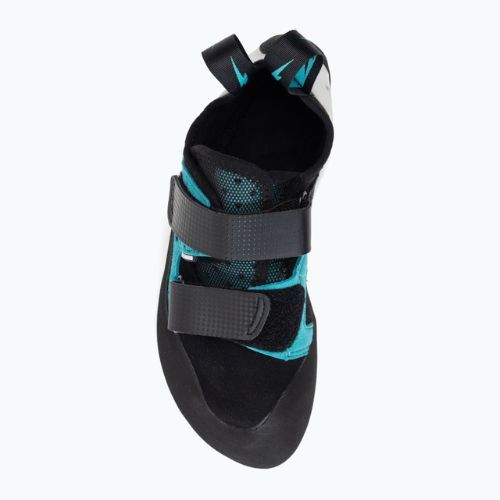 Vyriški laipiojimo batai Evolv Geshido blue 955