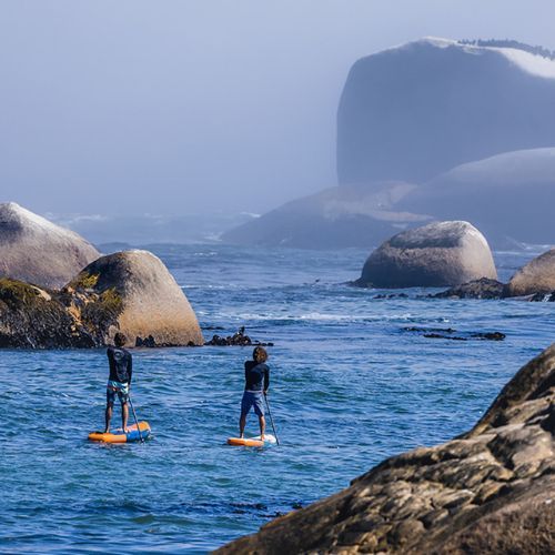 JP-Australia SUP lenta AllroundAir LE white 221133