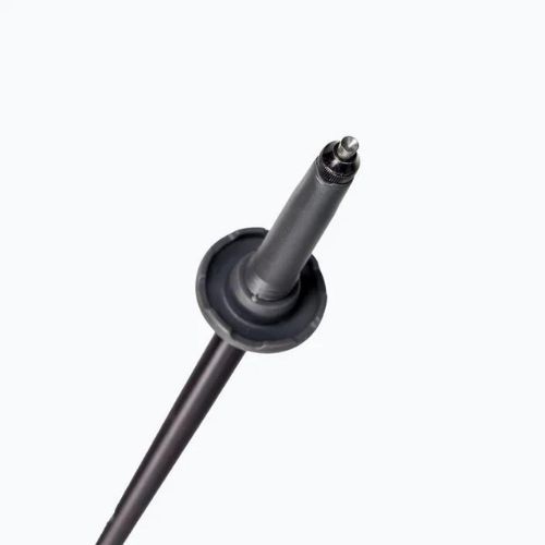 Black Diamond Trail Trek Alpių ežero trekingo lazdos