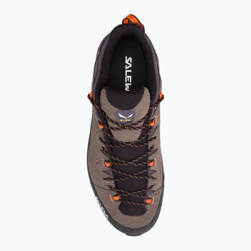 Vyriški trekingo batai Salewa Alp Trainer 2 brown 00-0000061402