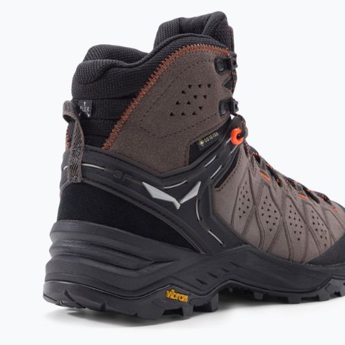 Vyriški trekingo batai Salewa Alp Trainer 2 Mid GTX brown 00-0000061382