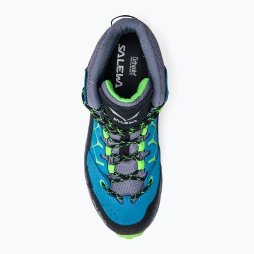 Vaikų trekingo batai Salewa Alp Trainer Mid GTX blue 00-0000064010