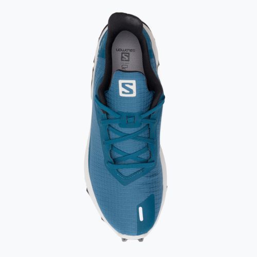 Salomon Alphacross 3 vyriški bėgimo bateliai bluesteel/lunar rock/black