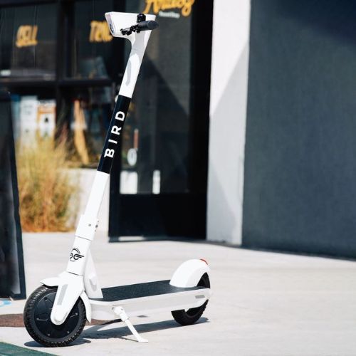 Bird One 9" baltas elektrinis motoroleris