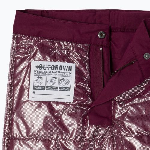 Columbia Bugaboo II vaikiškos slidinėjimo kelnės kaštoninės spalvos 1806712