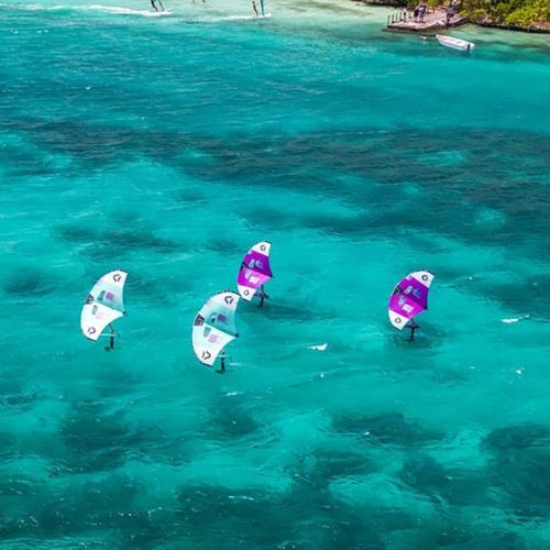 Wingfoil DUOTONE vienetas žalias 44220-3518