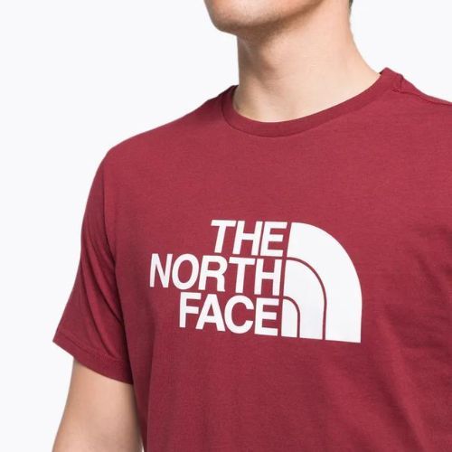 Vyriški trekingo marškinėliai The North Face Easy red NF0A2TX36R31