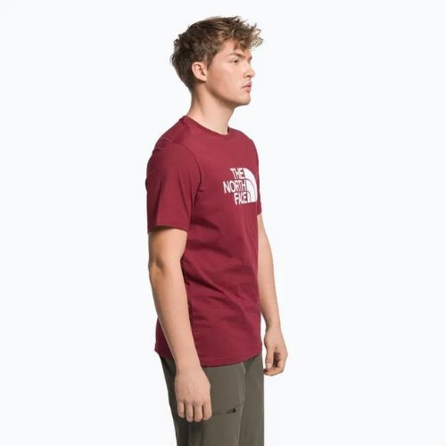 Vyriški trekingo marškinėliai The North Face Easy red NF0A2TX36R31