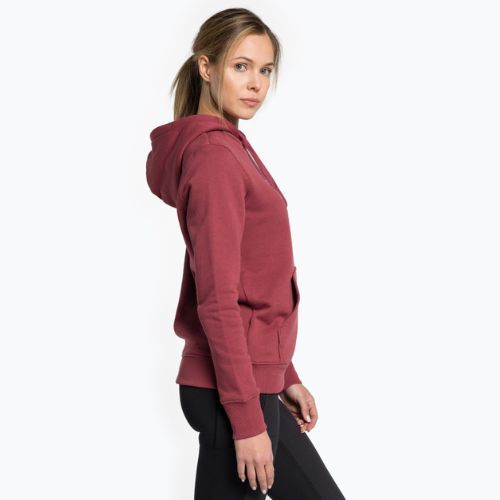 Moteriški džemperiai The North Face Drew Peak Pullover Hoodie wild ginger NF0A55EC6R41