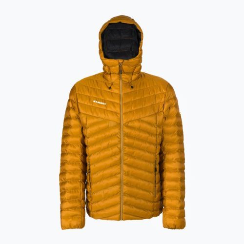 Vyriška pūkinė striukė Mammut Albula IN gold 1013-01781