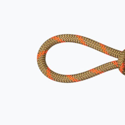 Mammut 8.0 Alpine Dry laipiojimo virvė oranžinė 2010-04350-11240-1060