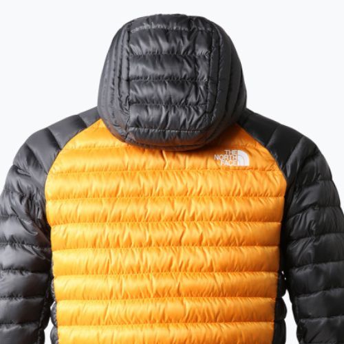 Vyriškos pūkinės striukės The North Face Bettaforca LT Down Hoodie orange NF0A7Z8F8M61