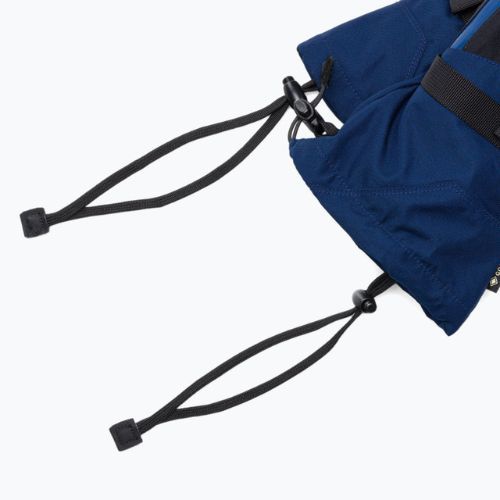 Vyriškos Dakine Titan Gore-Tex snieglenčių pirštinės mėlynos D10003184