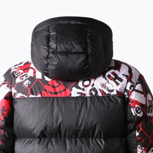 Vyriškos pūkinės striukės The North Face Printed Hmlyn Down Parka black NF0A5J1J99A1