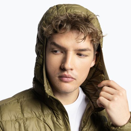 Vyriškos pūkinės striukės The North Face Thermoball Eco Hoodie 2.0 green NF0A5GLK37U1