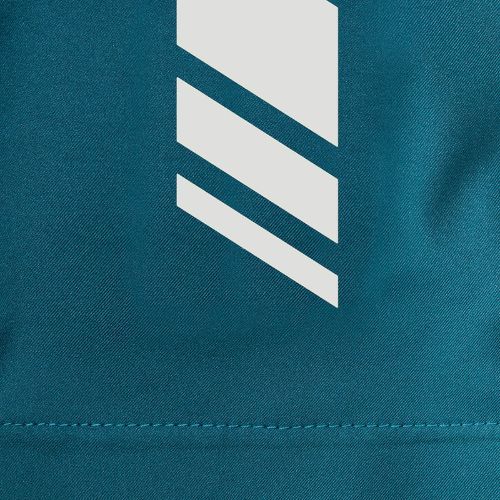 Vyriška slidinėjimo striukė Jack Wolfskin Alpspitze Hoody green 1307371_4133