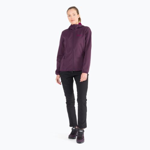 Jack Wolfskin moteriška softshell striukė Windhain Hoody purple 1307481