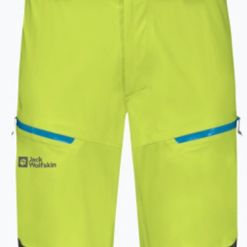 Jack Wolfskin vyriškos slidinėjimo kelnės Alpspitze 3L green/black 1115191