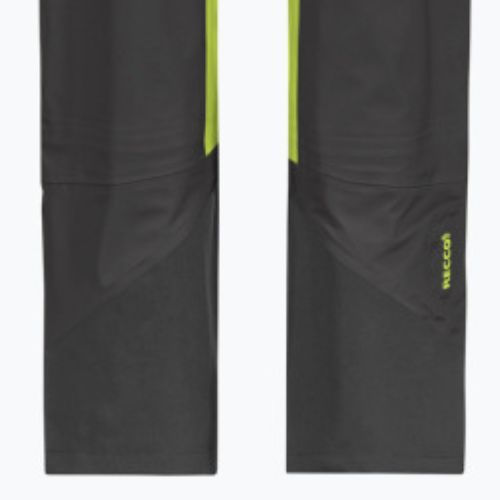 Jack Wolfskin vyriškos slidinėjimo kelnės Alpspitze 3L green/black 1115191