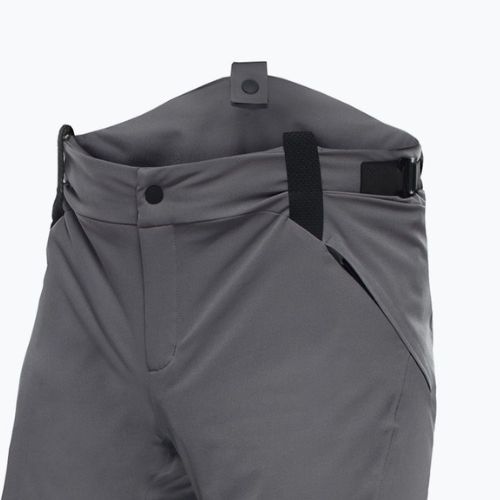 Vyriškos slidinėjimo kelnės Dainese Hp Ridge castle rock